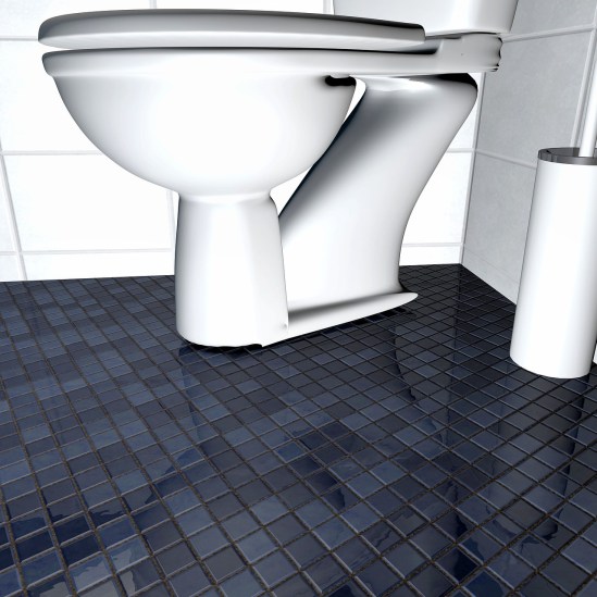 loo-1891630_1280