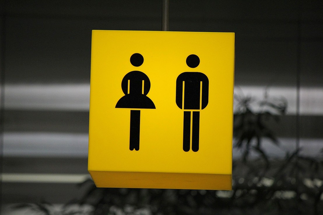 Comment fonctionne un sanibroyeur&nbsp;?