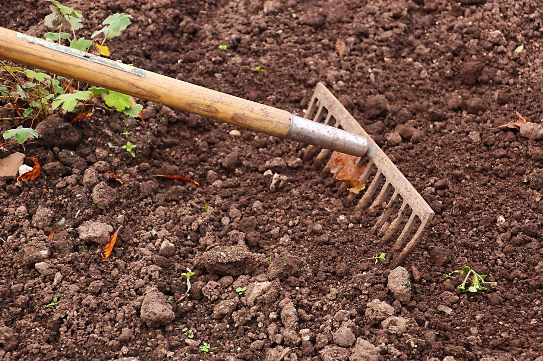 rake-2915742_1280(5)