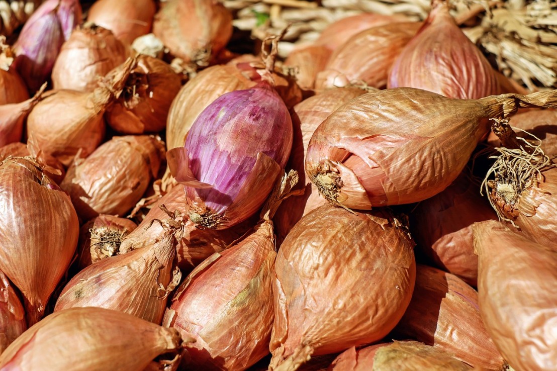 shallots-1585053_1280