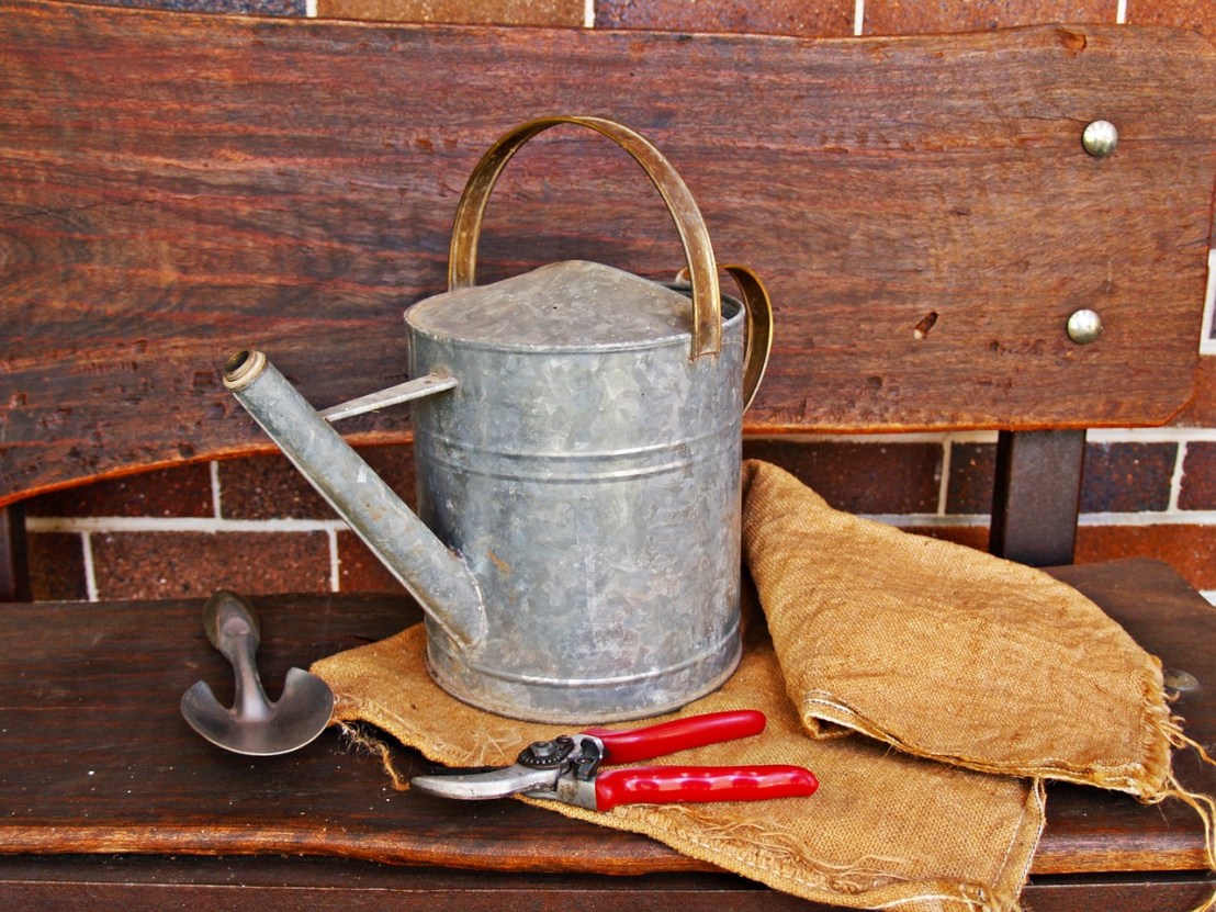 watering-can-1466491_1280(1)