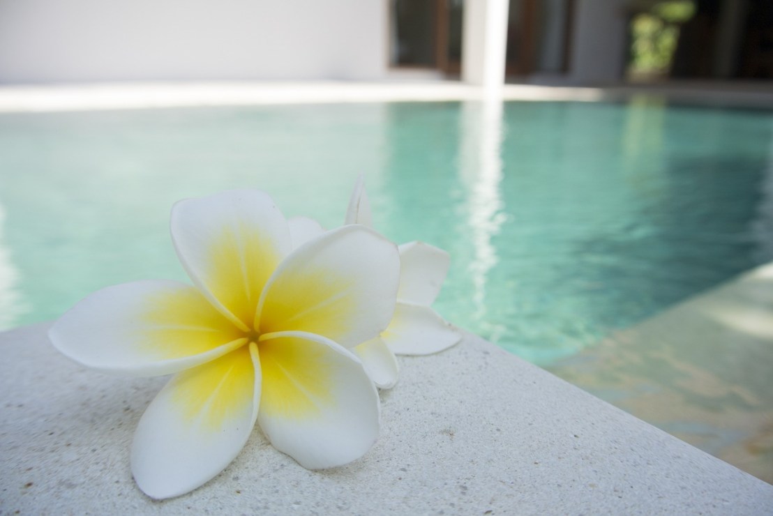 flower-1460889_1280