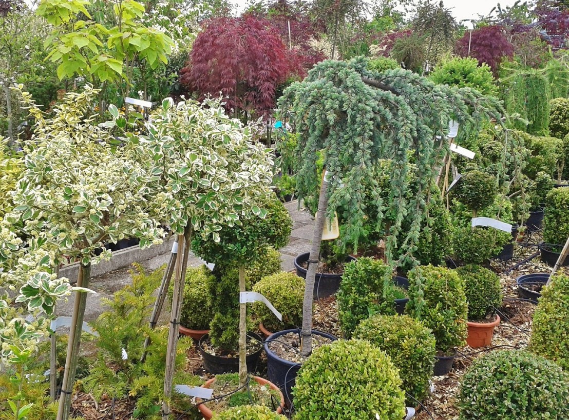 nursery-373038_1280