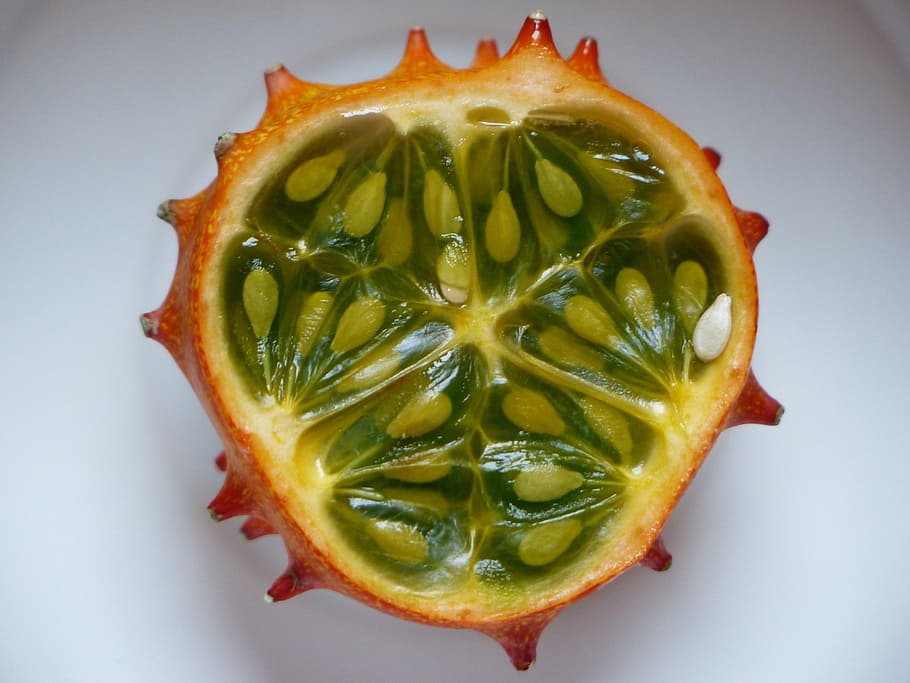 Connaissez-vous le Cucumis Metulifer&nbsp;?