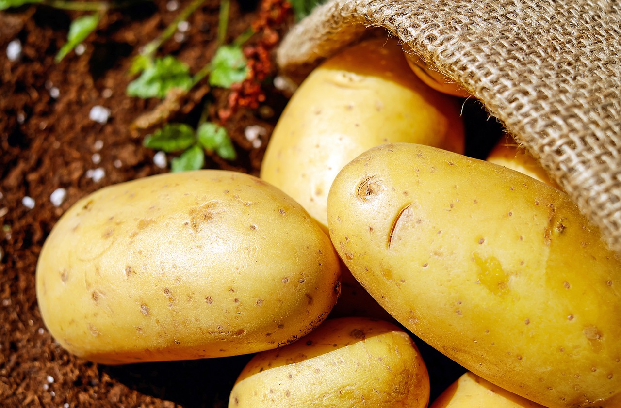 potatoes-1585060_1280