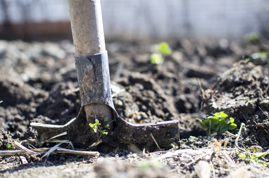 Comment aménager son espace extérieur quand on a un potager&nbsp;?