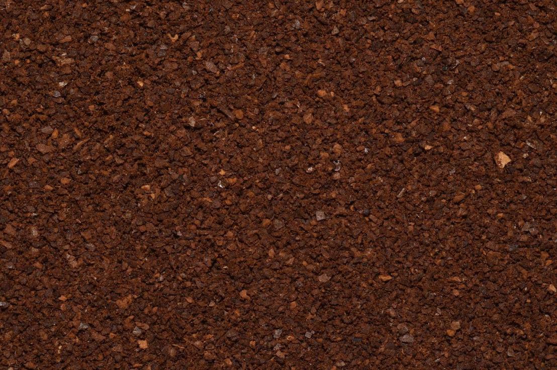 Quelles utilisations du marc de café pour la maison et le jardin&nbsp;?