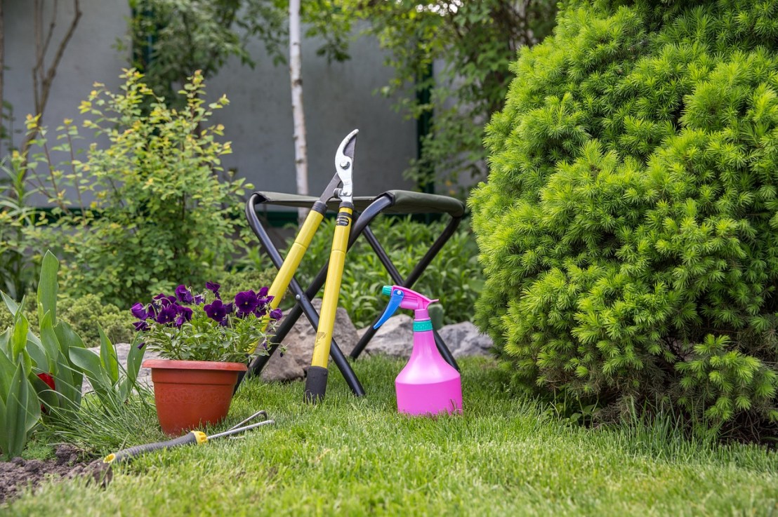 Quelles plantes mettre en extérieur et sans entretien&nbsp;?
