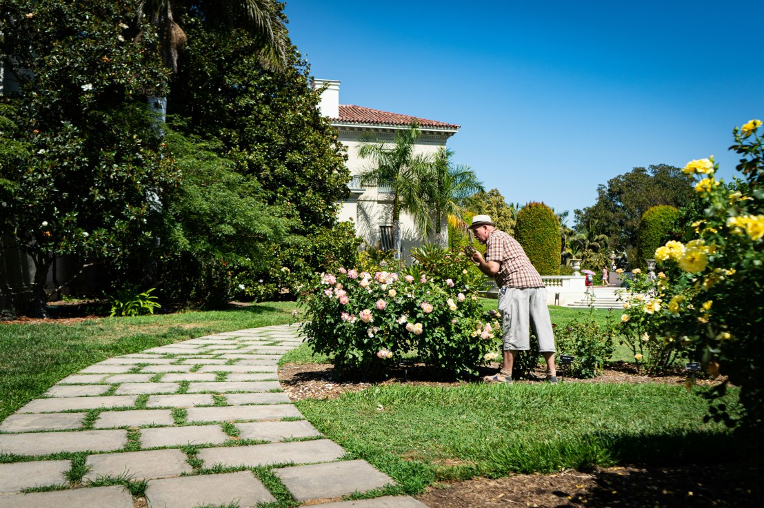 Nos astuces pour obtenir rapidement un beau&nbsp;jardin