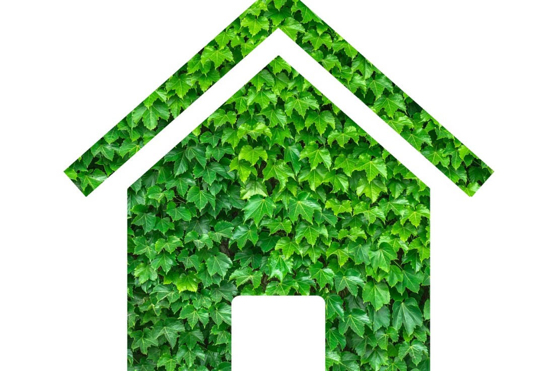 5 conseils pour rendre son logement plus&nbsp;vert